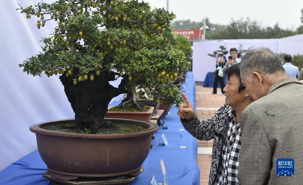 东方皇宫号